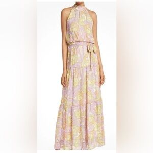 Julia Jordan Multicolor Paisley Sleeveless Dress Size 4